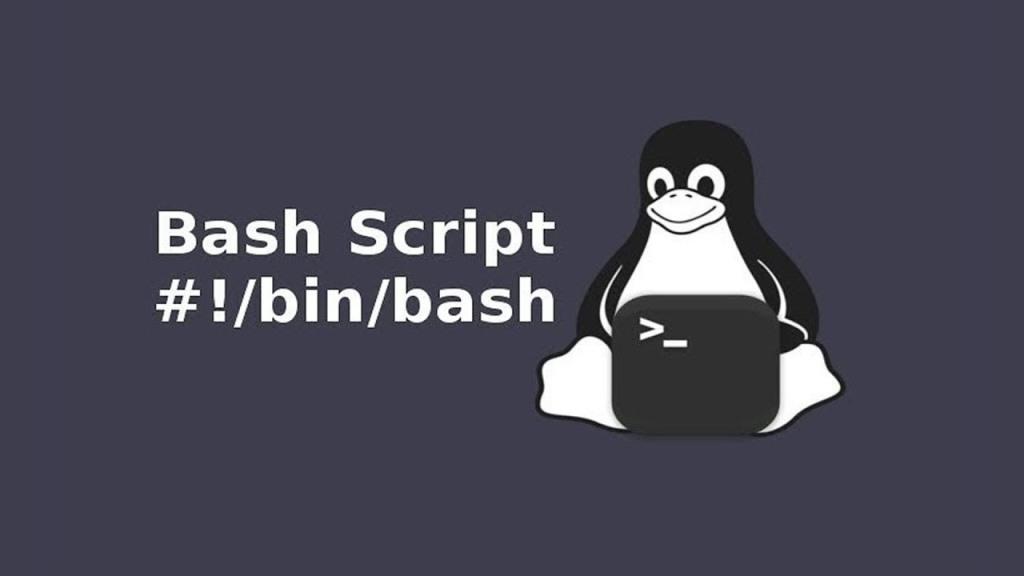 bash-script